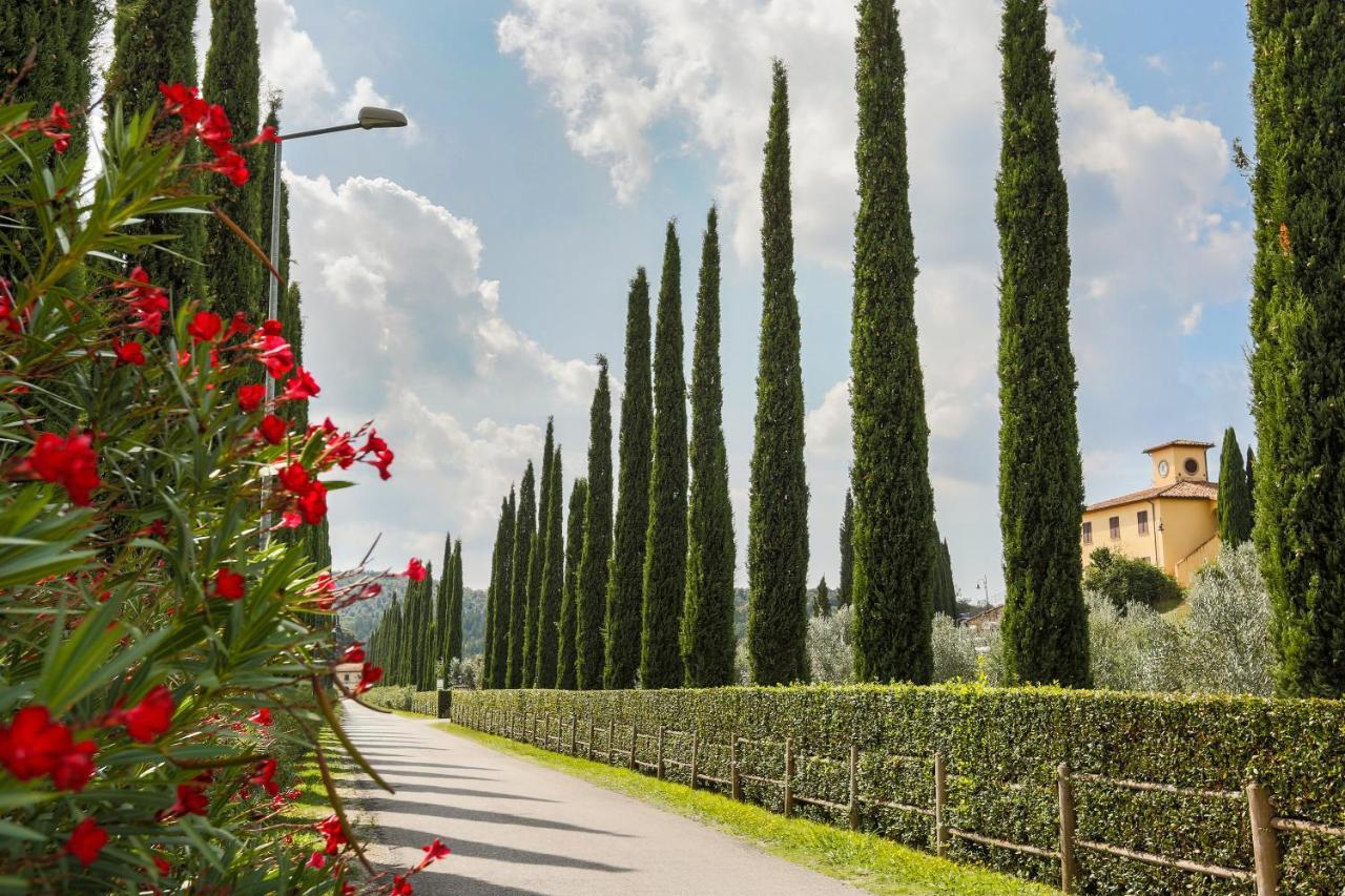 Villa Ligustro Riparbella Exterior photo